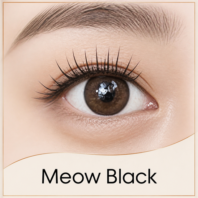 Meow Black