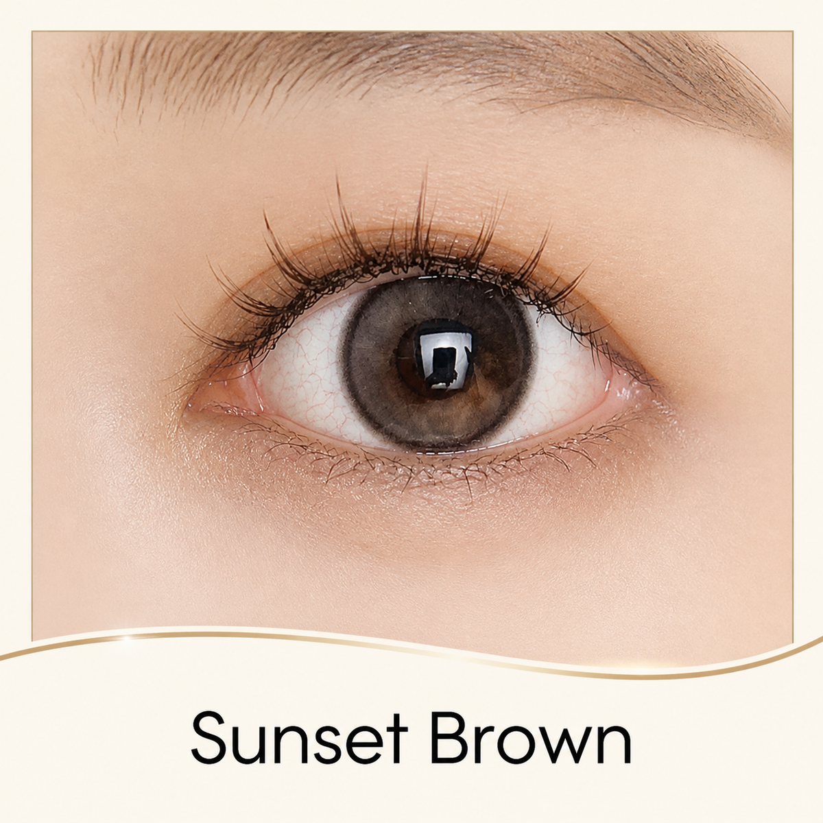 Sunset Brown