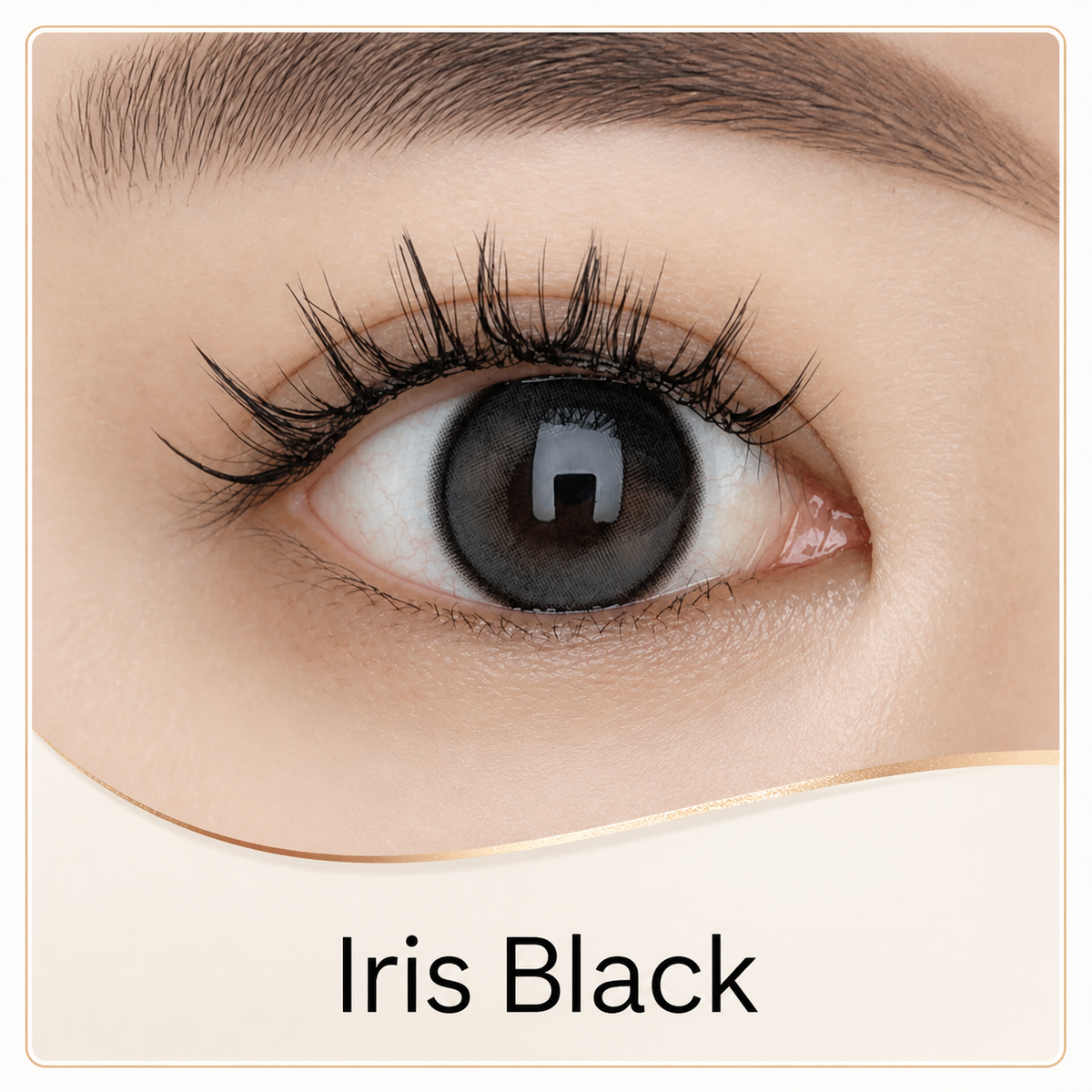 Iris Black