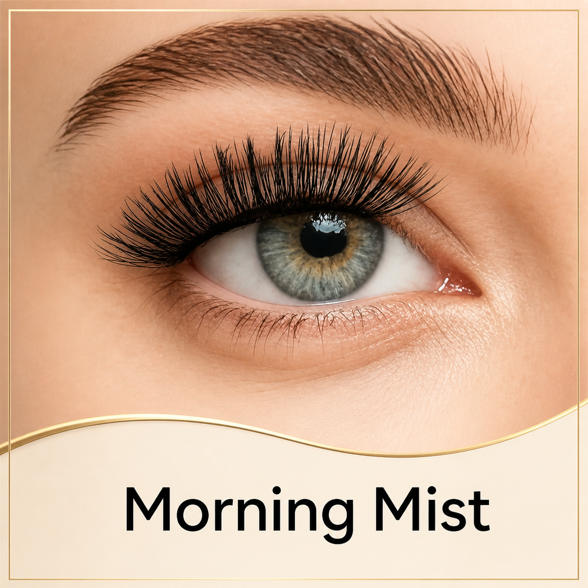 Morning Mist
